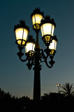 Night On La Rambla