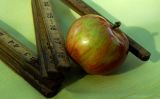 apple still-life