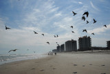 Jacksonville Beach