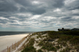 Fire Island