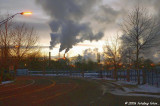 Weyerhauser stacks in early morning