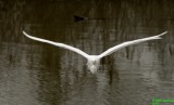 D2x2007-02-21_117.jpg