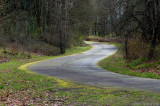 Winding through the park