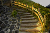 Stairs of gold