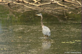 D2x2007-07-16_233.jpg
