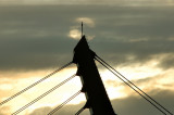 723_3444.jpg