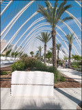 Ciudad de las Artes y de las Ciencias