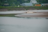 Truro, tidal bore