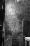 Ambient Achromatic August21