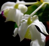 _MG_6960_edited-1 copy.jpg