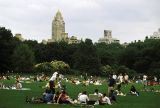 Central Park, NYCity, NY.