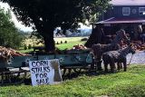 Roadside stall, rural PA