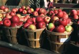 Fall apples at roadside stall, rural PA