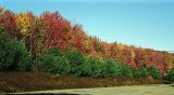 Beautiful fall colours, rural PA