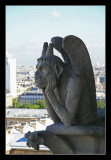 Notre Dame
