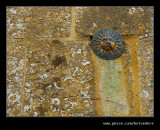 Fading Sun, Snowshill Manor