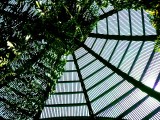 Up Shot of a Wood-Slated Arborarium