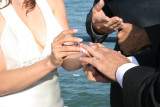 The Rings ALL EVENTS PHOTOGRAPHY & VIDEO PRODUCTIONS