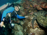 P5288411-a.jpg