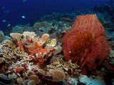 P5227668-a.jpg