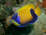 P5207226-a.jpg