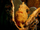 P5186993-a.jpg