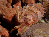 P5197122-a.jpg