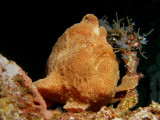 P5278306-a.JPG