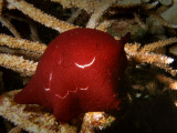 P5288529-a.JPG