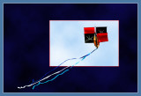 Go fly a kite!