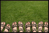 We got new sandals!