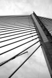 Toledo - Cable Stay Bridge