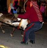 Why it's a bad idea to call Reindeer names!