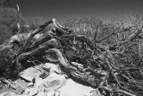 Rawnsely Bluff Hike_13.jpg