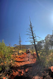 Rawnsely Bluff Hike Flinders Ranges South Australia_4.jpg