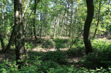 Doolhofwandeling Turnhout