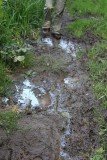 Doolhofwandeling Turnhout
