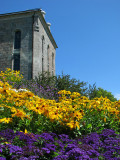 Fleurs et prison