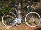 1981 Schwinn Voyageur 11.8 Restoration