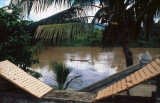 Rice Cakes Drying out by Mekong River