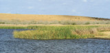 Stock tank and mine hill