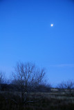 Morning Moon Jan_2007