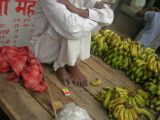 Bananas for sale