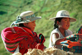 Bolivian Girls