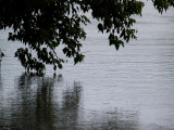 Overhang on the River