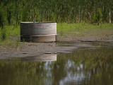 Onset Of a Drought