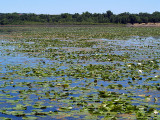 No Water Surface Untouched.jpg