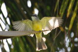 DSC_0489.JPG