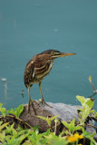 DSC_0845.JPG