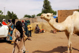 Korioumé, Mali
